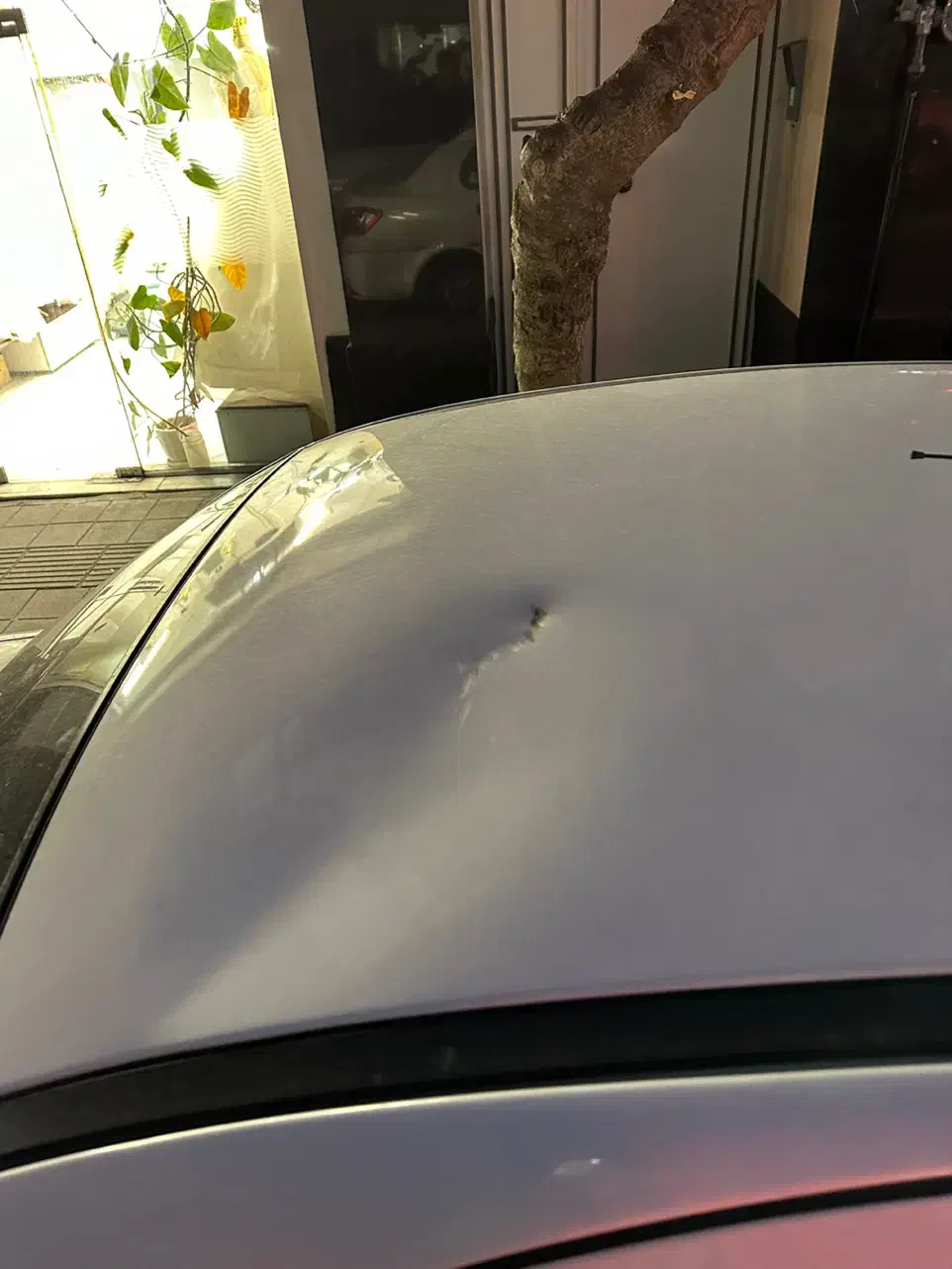 ساینا|خودرو سواری و وانت|تهران, شیخ هادی|دیوار