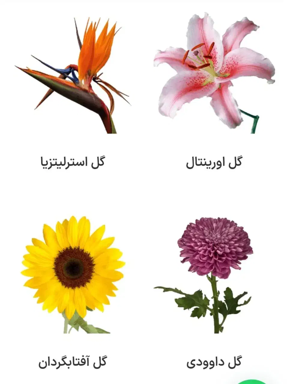 دوره ۲ ماهه گل آرایی با تخفیف ۳ میلیونی اصفهان|خدمات آموزشی|خمینی‌شهر, |دیوار