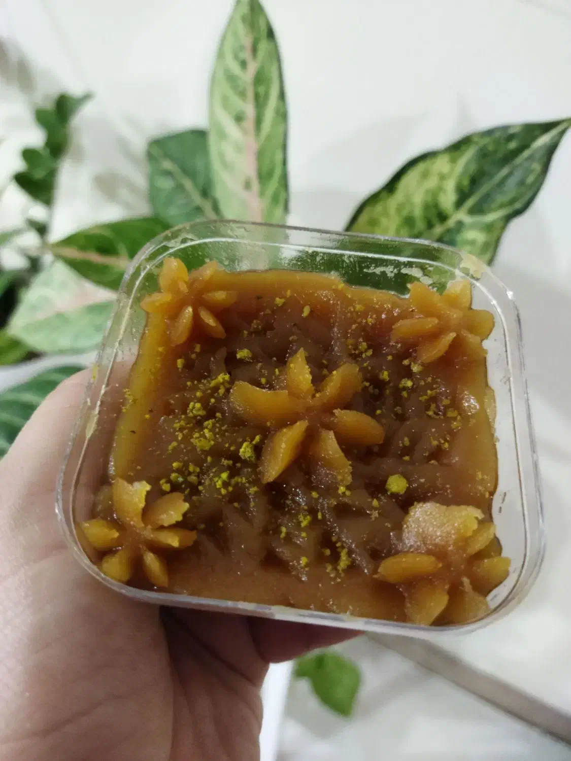 حلوا|خوردنی و آشامیدنی|بابلسر, |دیوار