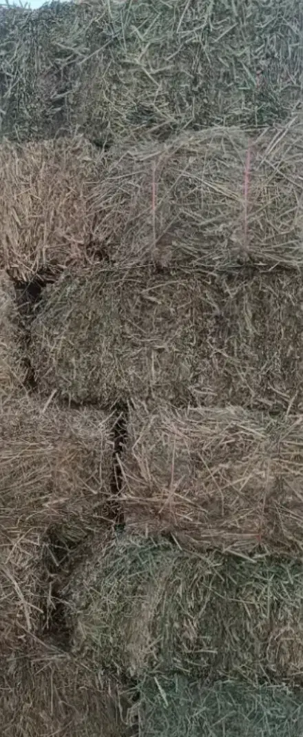 یونجه درجه یک بسته بندی|لوازم جانبی حیوانات|سراب, |دیوار