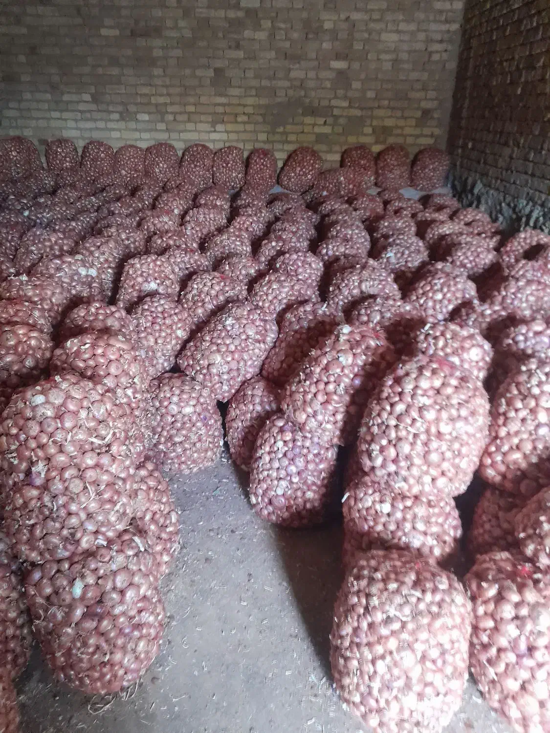 پیاز محلی دهگلان|حراج|بلبان آباد, |دیوار