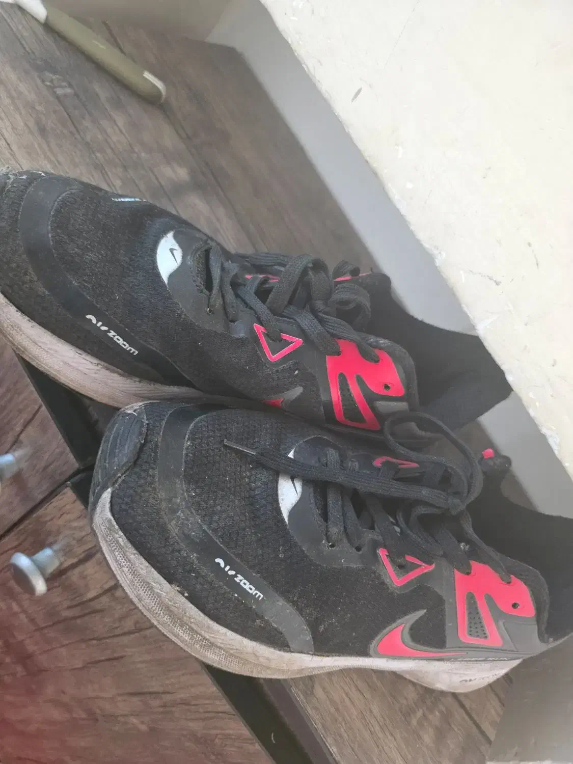 کفش|کیف، کفش، کمربند|مرودشت, استادیوم‎|دیوار