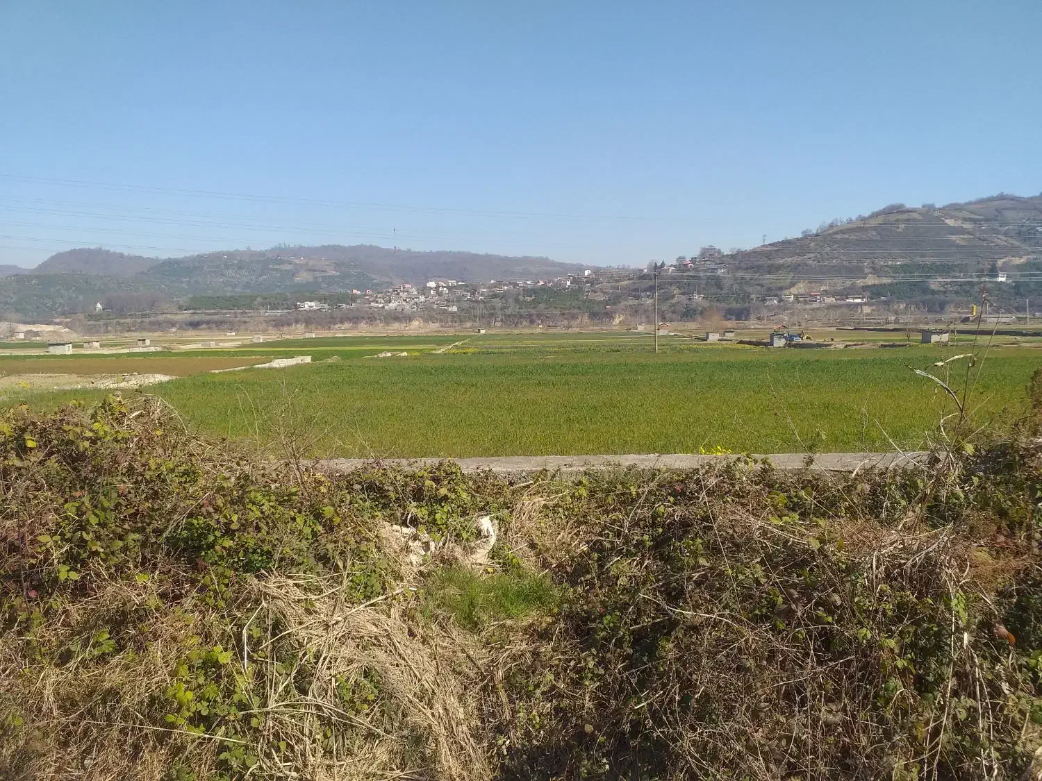 موقعیت خوب در شهر ساری (هولار)|فروش زمین و ملک کلنگی|پایین هولار, |دیوار