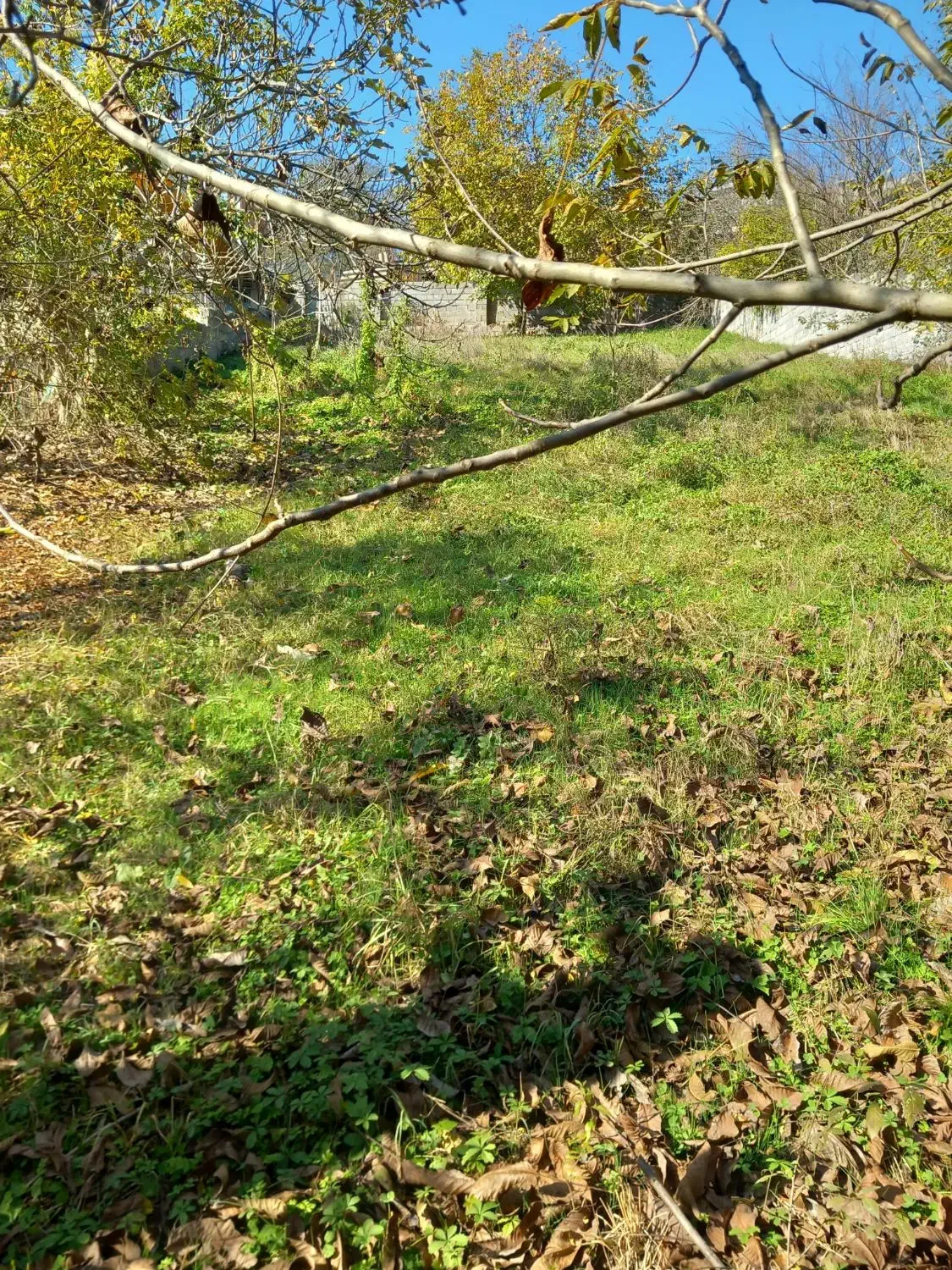 زمین روستائی|فروش زمین و ملک کلنگی|زیرآب, |دیوار