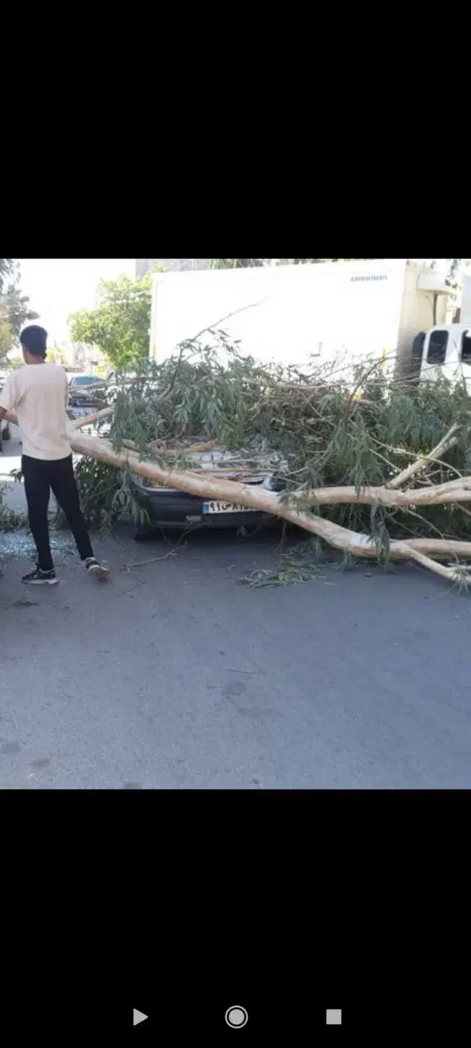 پراد۹۵تمامرنگبخاطرسقوطدرختسمترانندهرنگندا|خودرو سواری و وانت|جیرفت, |دیوار