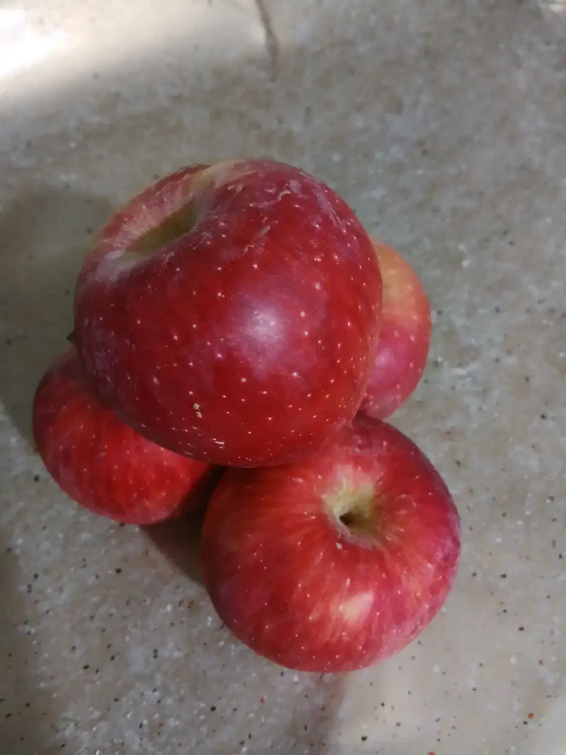 سیب قرمز و سفید|خوردنی و آشامیدنی|انگوران, |دیوار