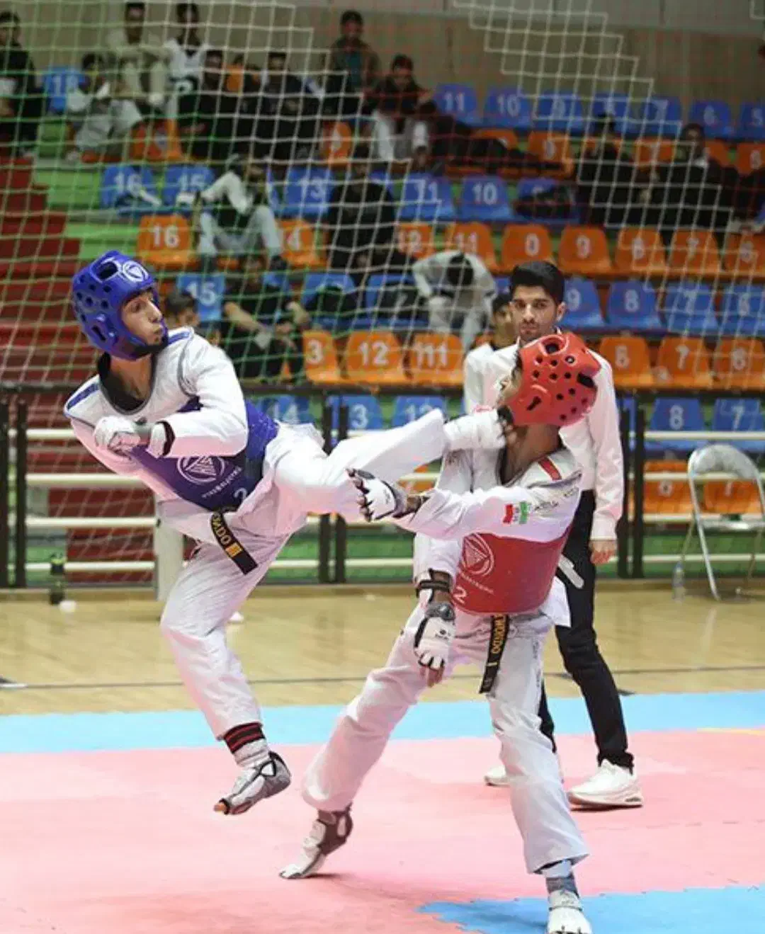 آموزش خصوصی و نیمه خصوصی تکواندو|خدمات آموزشی|تبریز, |دیوار