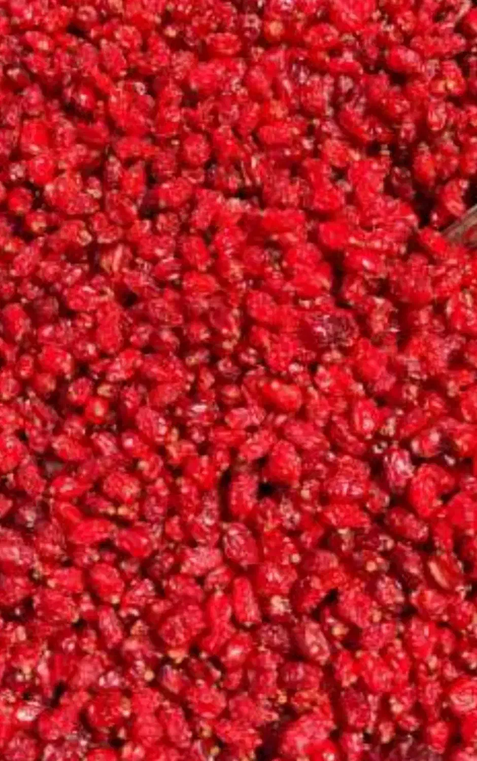 زرشک|خوردنی و آشامیدنی|قرچک, میرزائی جنوبی|دیوار