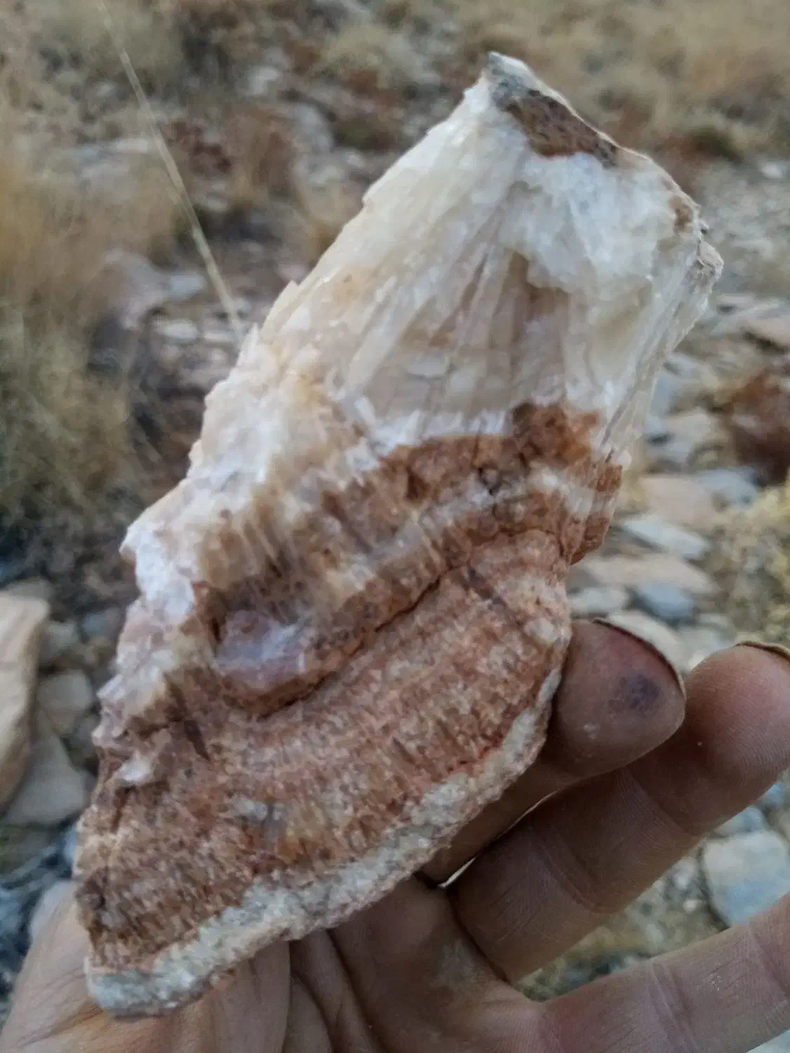 انواع سنگ های زینتی و کمیاب|جواهرات|اراک, |دیوار