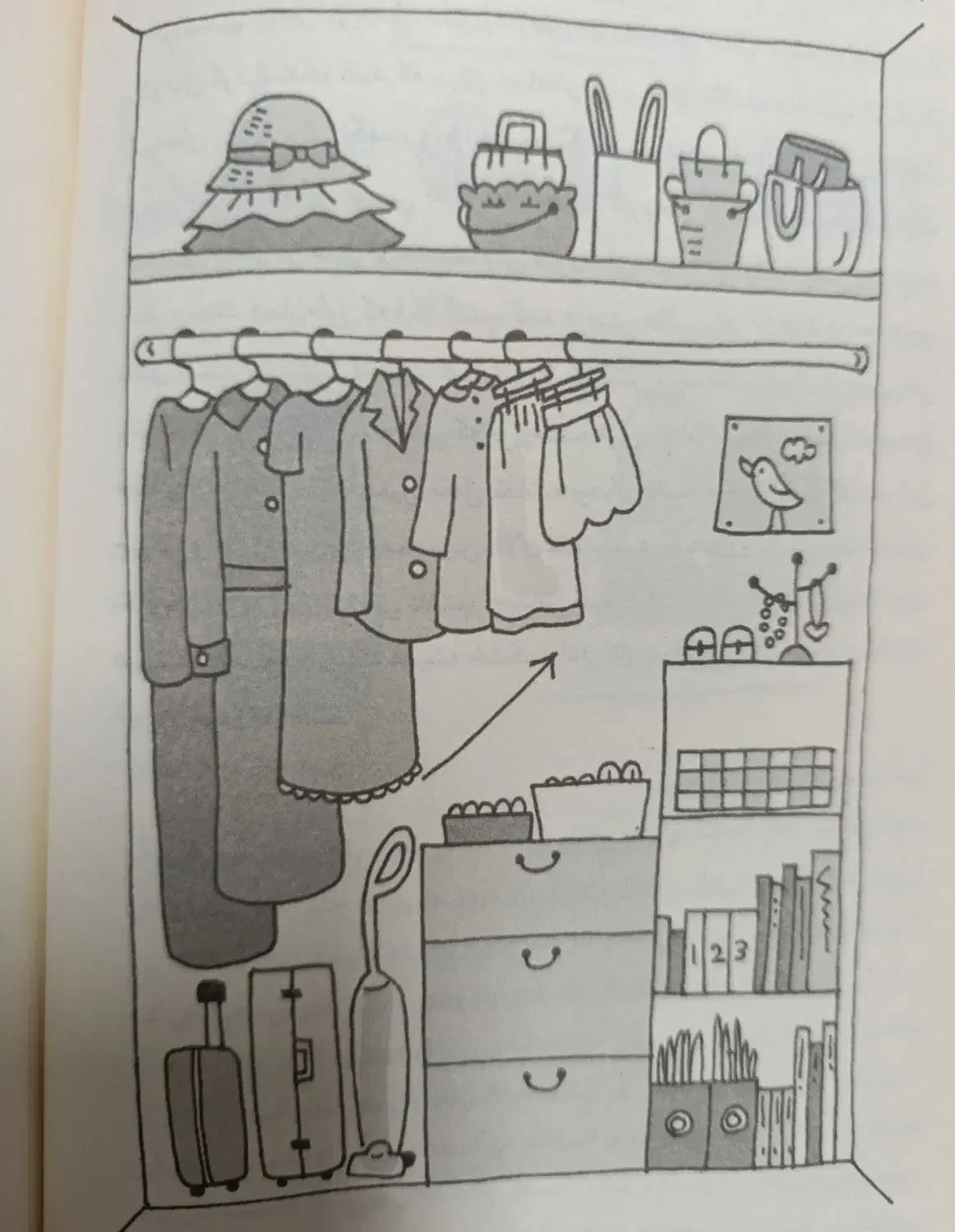 سازماندهی و مرتب کردن|خدمات نظافت|تهران, قیطریه|دیوار