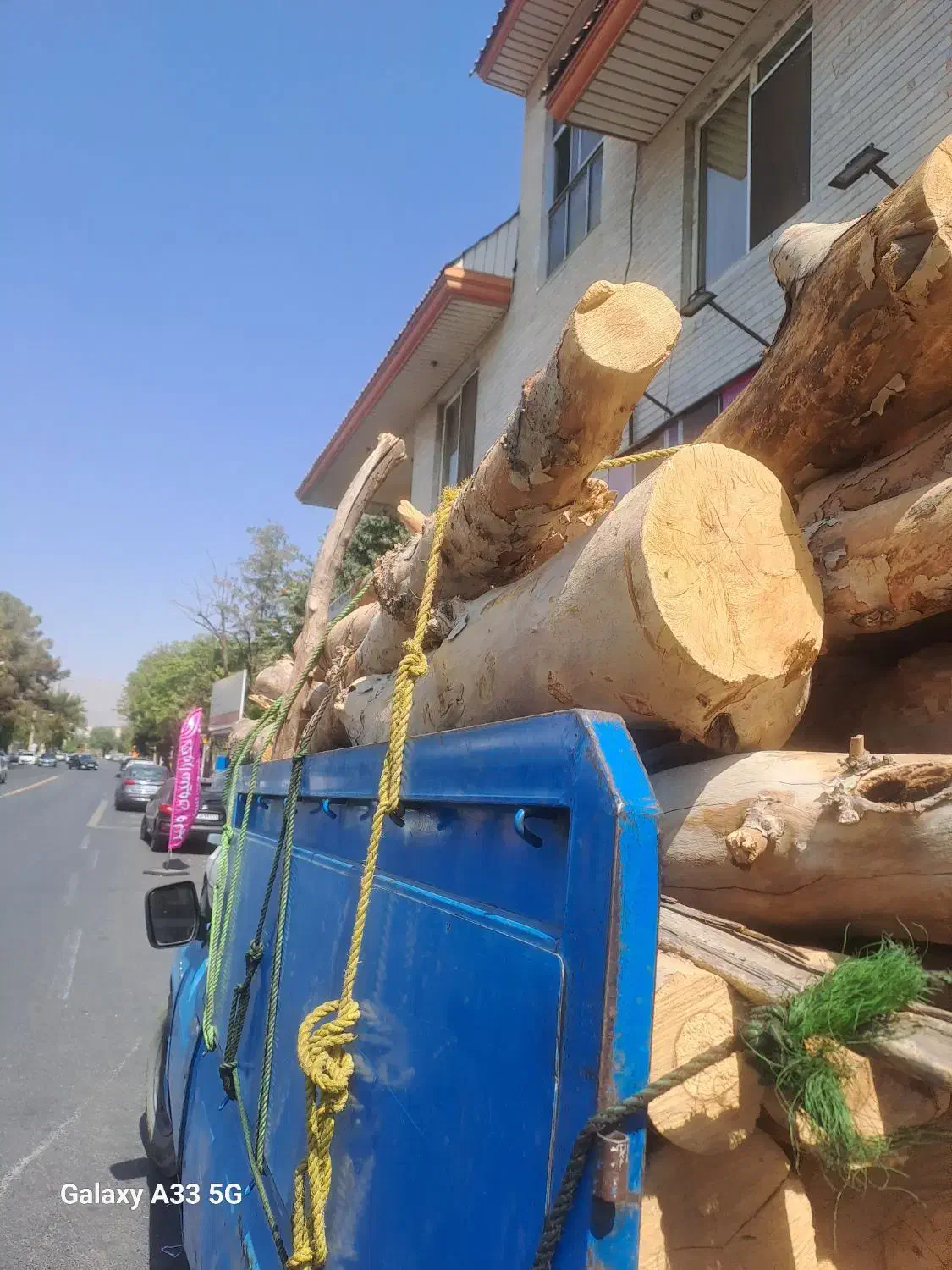 درخت خرید و برش درختان خشگ|خدمات باغبانی و درختکاری|محمدشهر, محمدشهر|دیوار