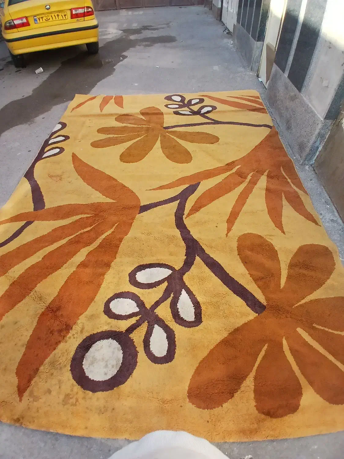 گلیم ۹متری|گلیم، جاجیم، گبه|اصفهان, کلمان|دیوار