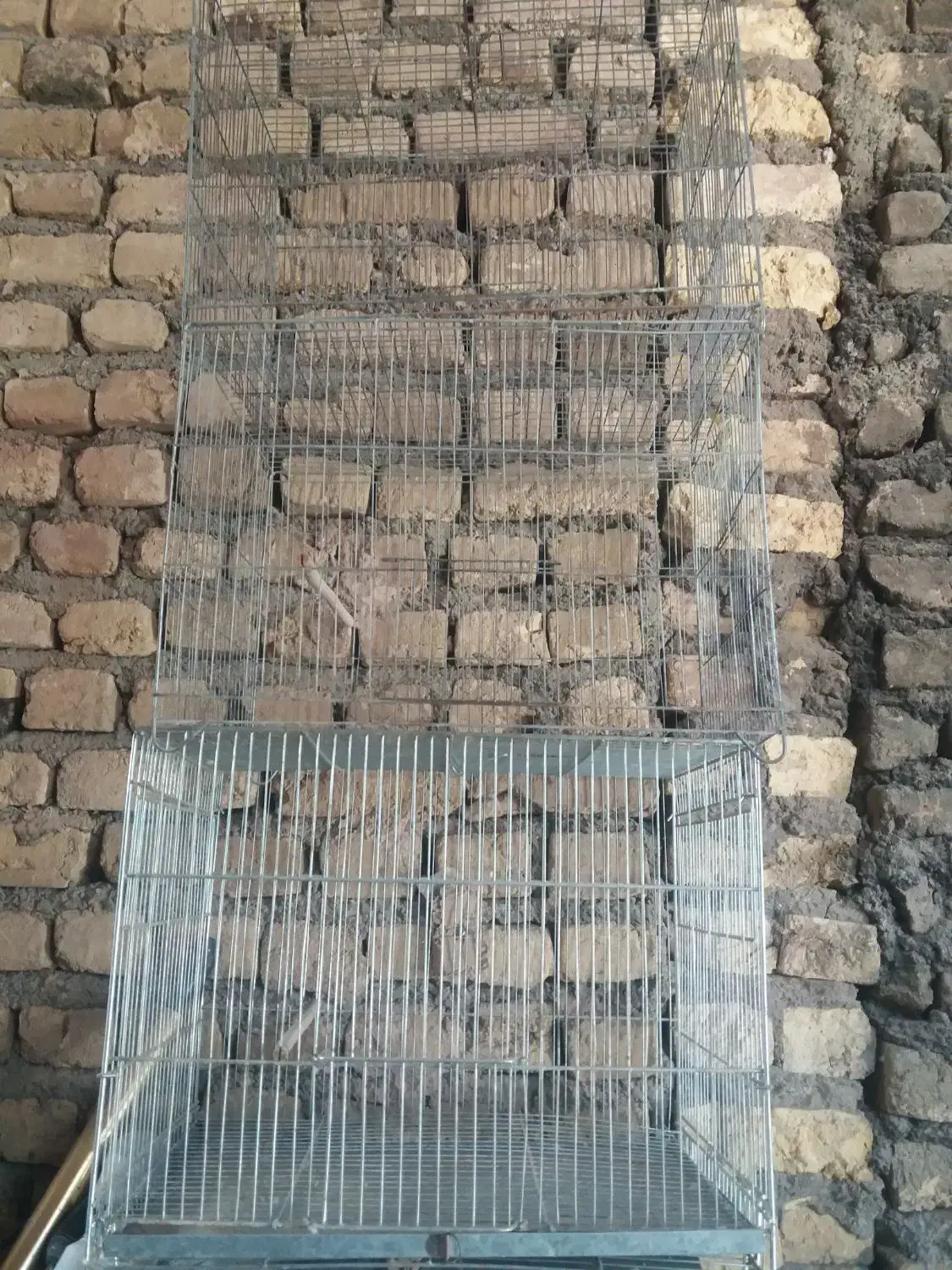 قفس پرنده|لوازم جانبی حیوانات|اصفهان, قهاب جنوبی|دیوار