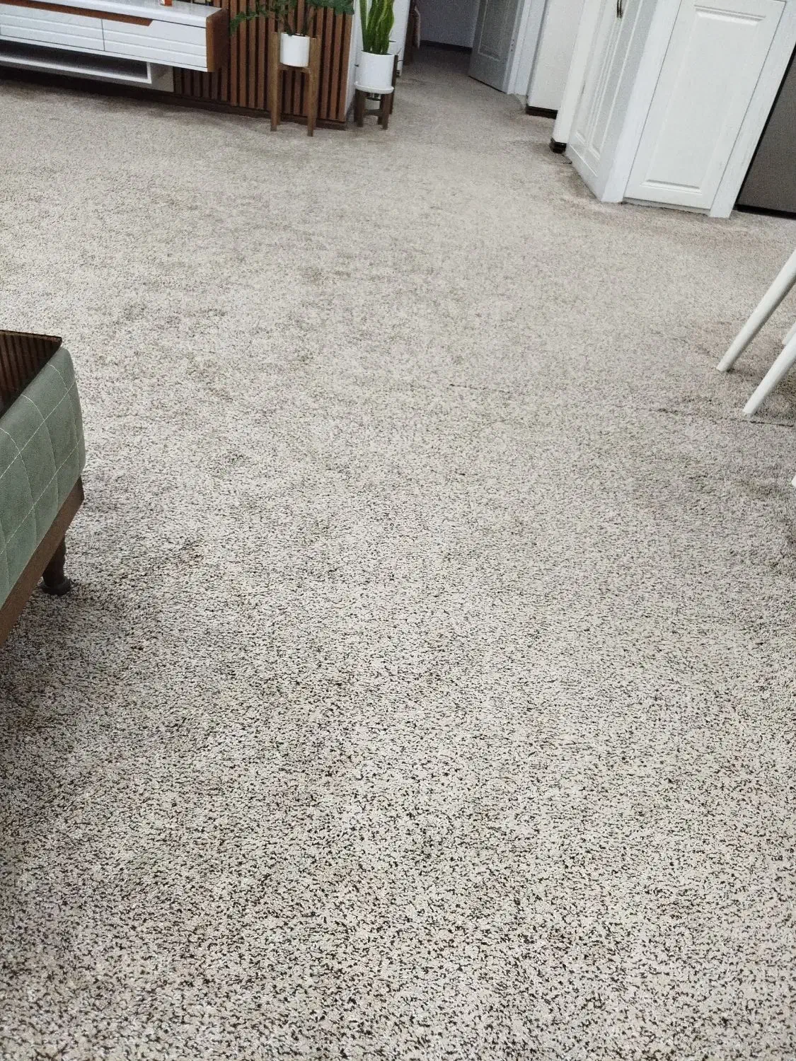 موکت پرز بلند پالاز|موکت|مشهد, اقبال|دیوار