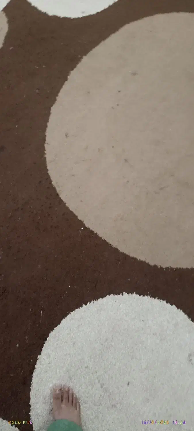 قالی 9متری|فرش|بوشهر, |دیوار