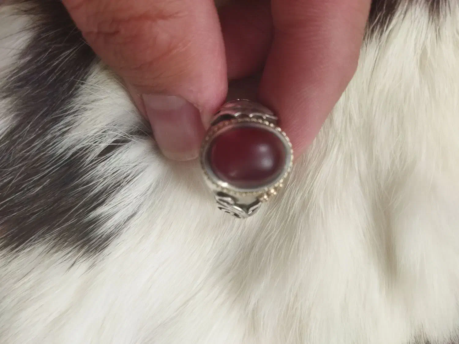 انگشتر شیروخورشید1346|کلکسیون اشیاء عتیقه|همدان, |دیوار