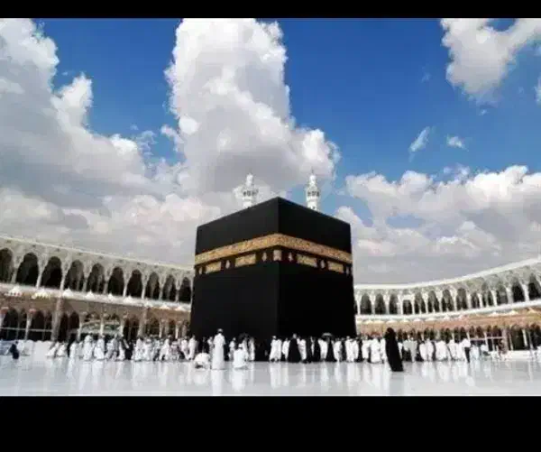 ۲ عدد فیش حج تمتع|تور و چارتر|رفسنجان, |دیوار