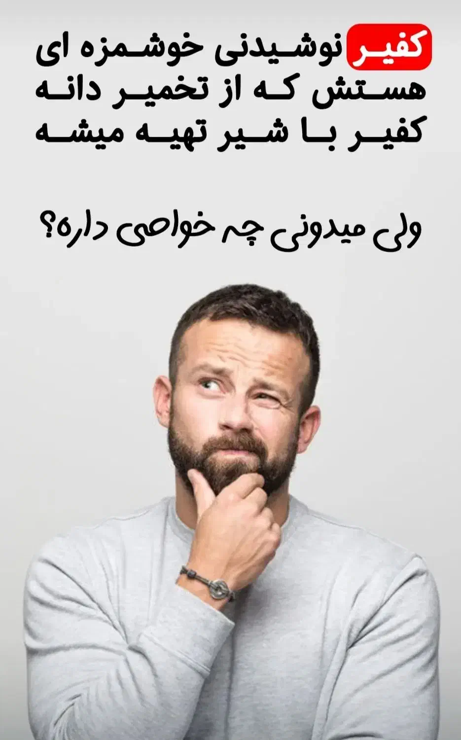 قارچ کفیر|خوردنی و آشامیدنی|آق قلا, |دیوار