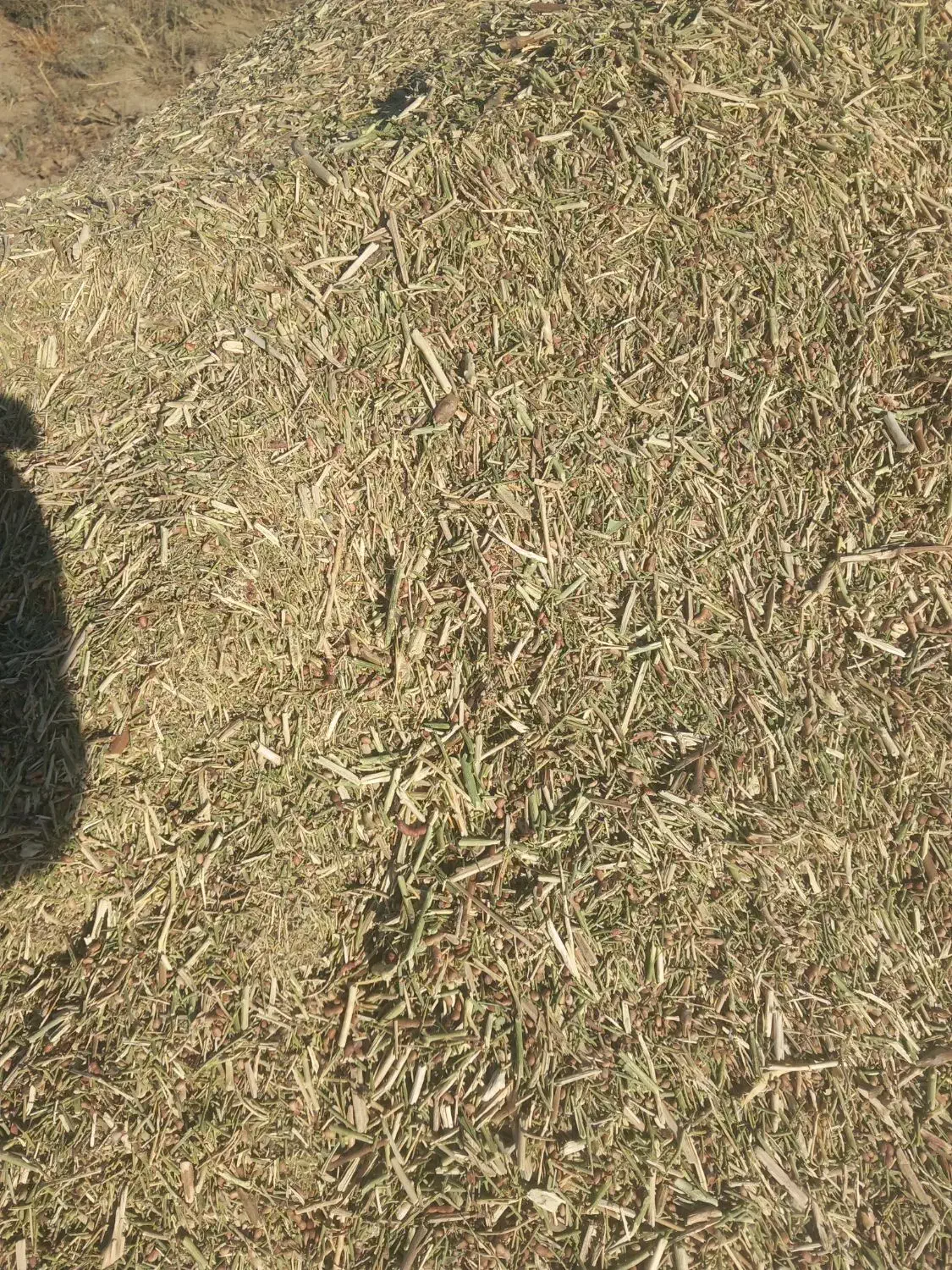 خار دانه دار|لوازم جانبی حیوانات|گناباد, |دیوار