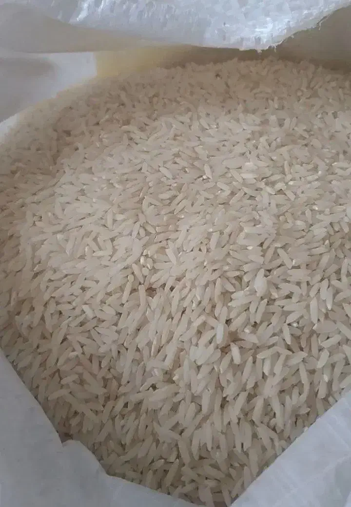 برنج فوق العاده شمال خرید بدون واسطه از کشاورز|خوردنی و آشامیدنی|یزد, |دیوار