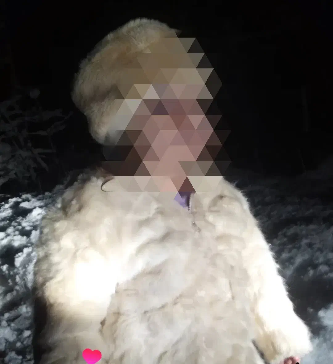 پالتو بچگانه تمام خز|لباس|تالش, هشتپر|دیوار