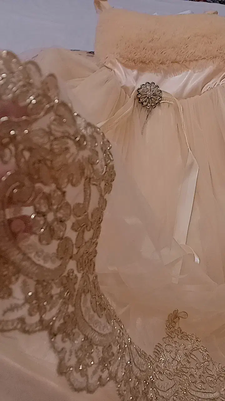 لباس مجلسی فنری|لباس|بجنورد, |دیوار