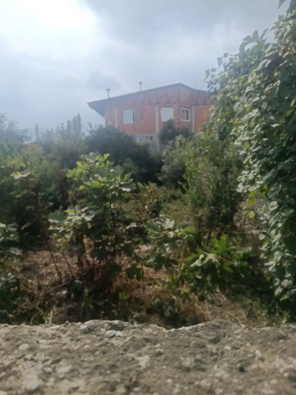 زمین شمال/بهر جاده بهشهر گرگان/مسکونی تجاری|فروش زمین و ملک کلنگی|گلوگاه, |دیوار