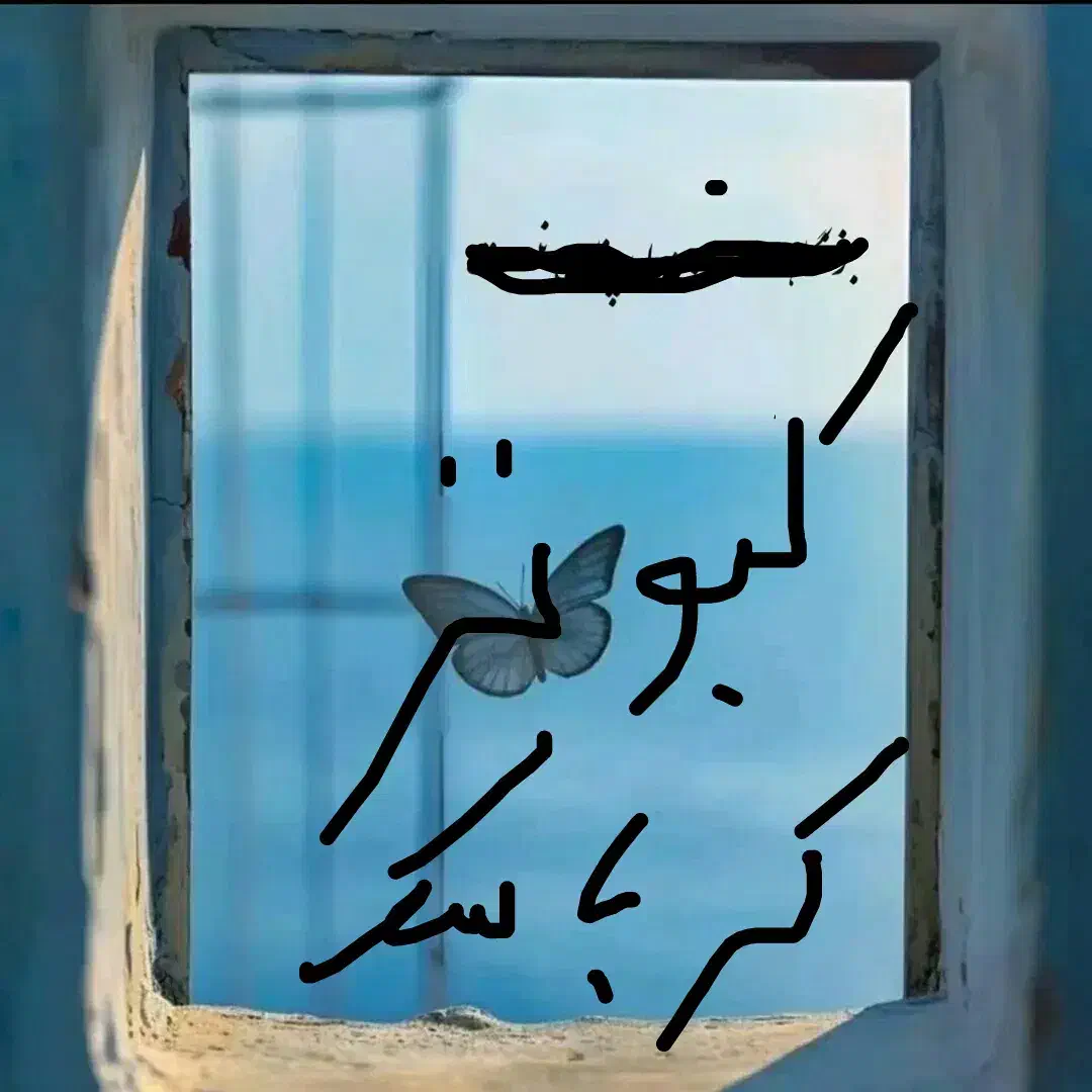 چندجفتکبوترداخلکرباسک|حیوانات|زابل, |دیوار