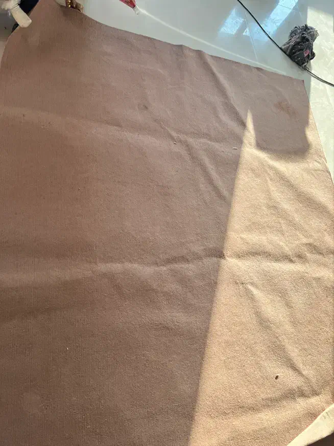 موکت شکلاتی|موکت|مشهد, مصلی (کارمندان اول)|دیوار