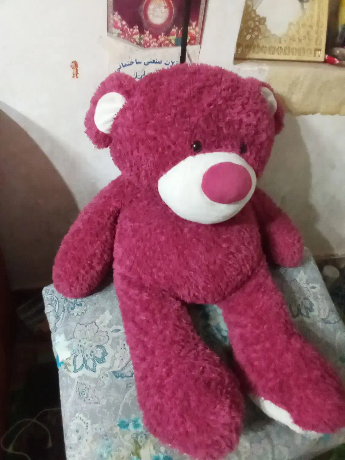 خرس بزرگ|اسباب‌بازی بچه|یزد, |دیوار