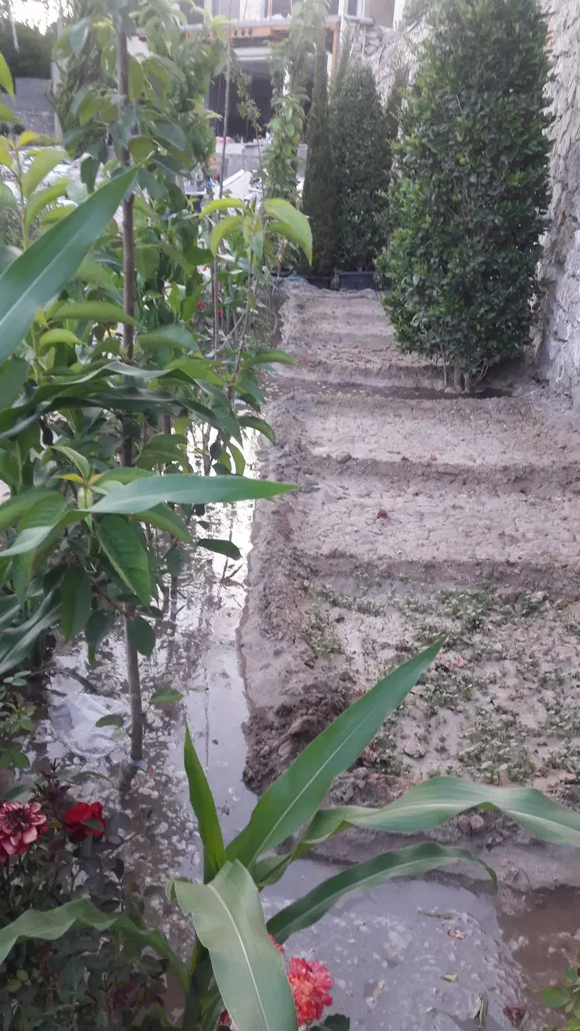 کلیه کارهای باغبانی درکوهپایه|خدمات باغبانی و درختکاری|کرمان, |دیوار