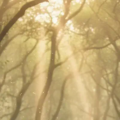 فتوشاپ انواع عکس های شما|خدمات رایانهای و موبایل|سنندج, |دیوار