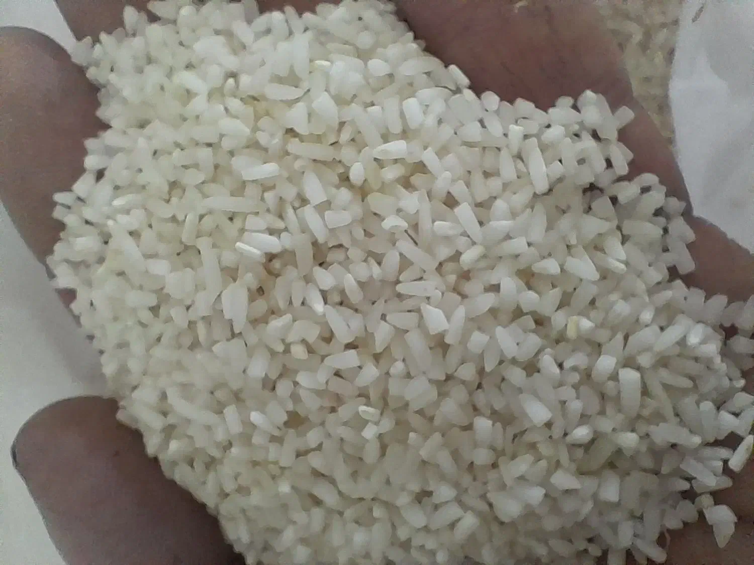 برنج هاشمی|خوردنی و آشامیدنی|قدس, شهر‌قدس|دیوار