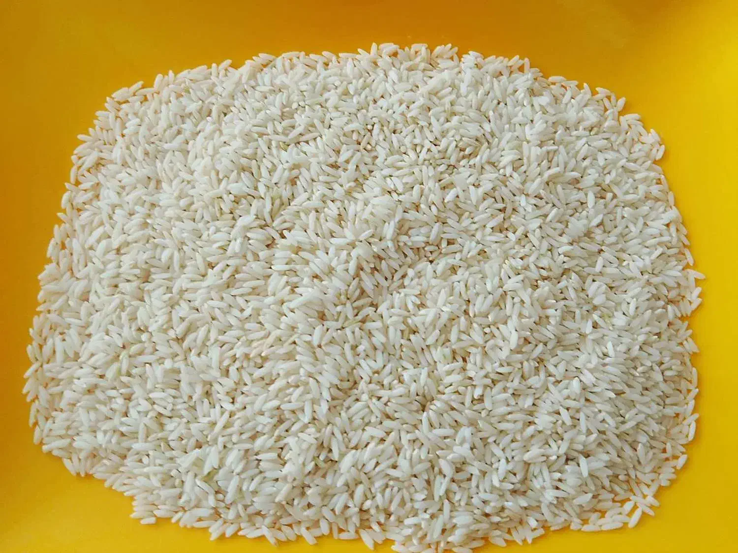 برنج|خوردنی و آشامیدنی|کرج, کوی کارمندان جنوبی|دیوار