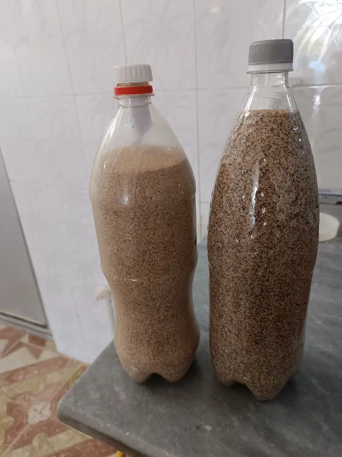 بذر|گل و گیاه طبیعی|کوهنانی, |دیوار