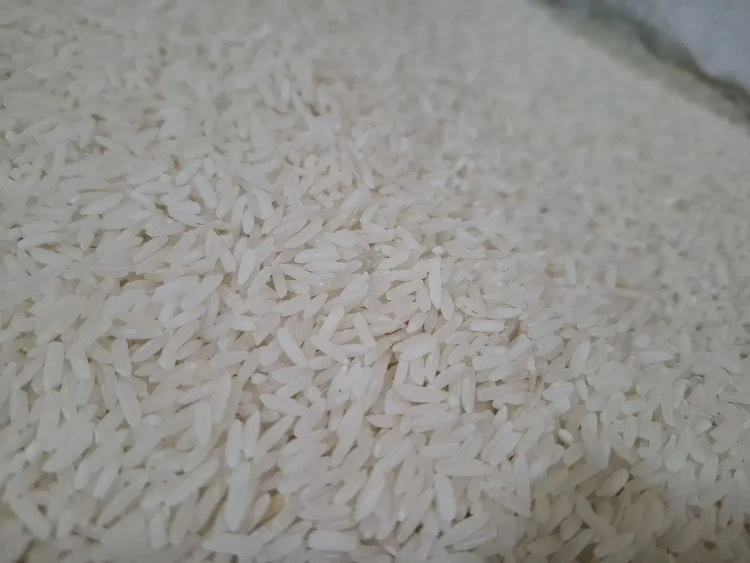 برنج دانه بلند|خوردنی و آشامیدنی|ایذه, |دیوار