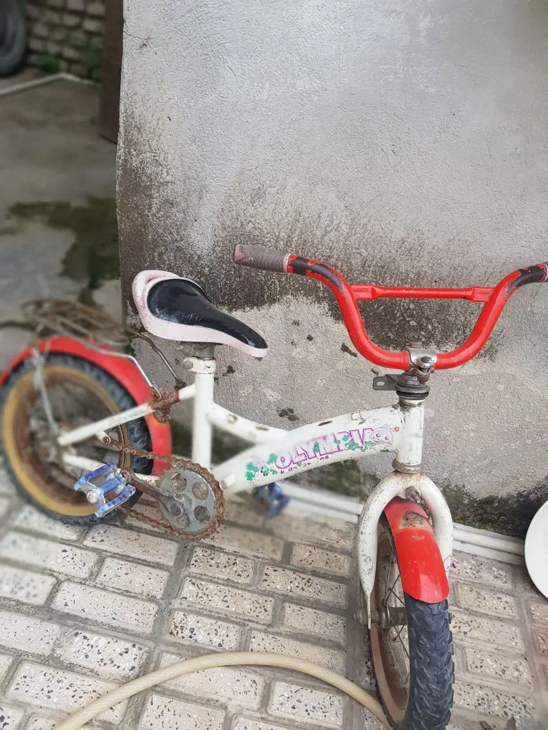 دوچرخه۱۲|دوچرخه، اسکیت، اسکوتر|گرگان, |دیوار