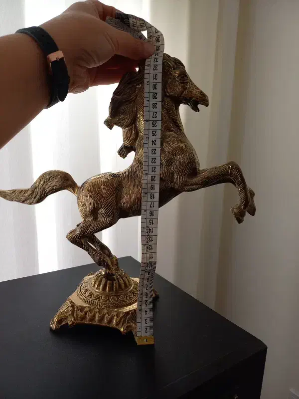 اسب برنز|مجسمه، تندیس، ماکت|اردبیل, |دیوار