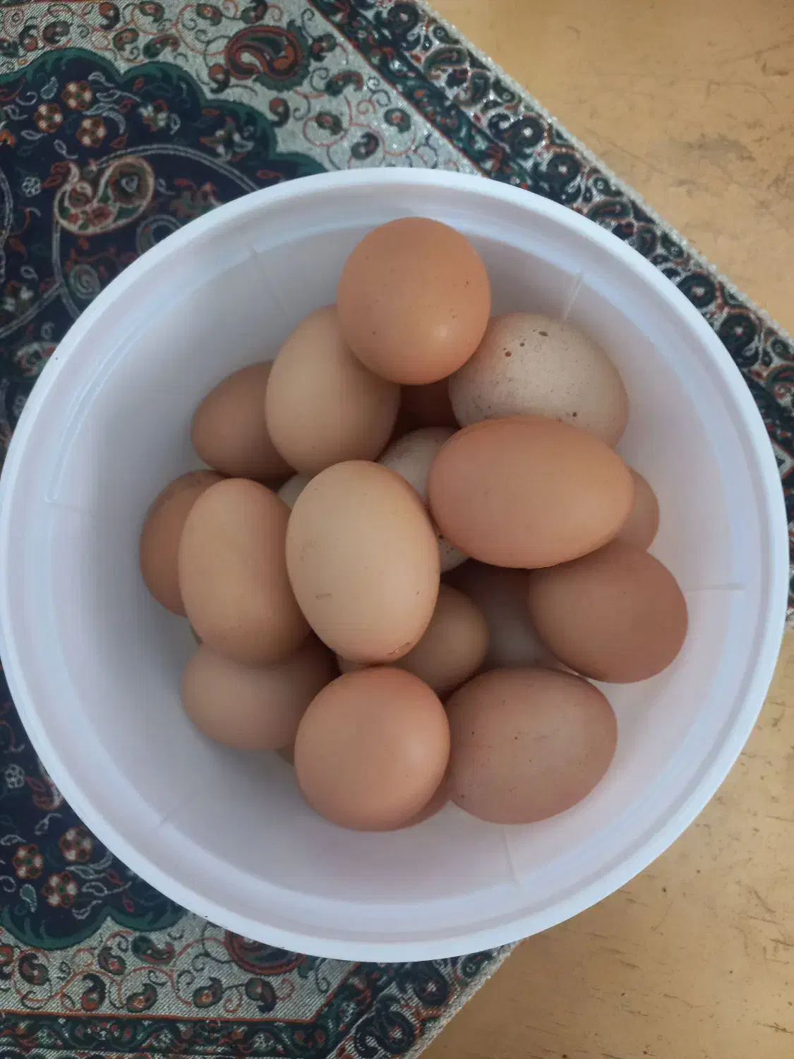 تخم مرغ خونگی|خوردنی و آشامیدنی|نیشابور, شهرک فرهنگیان|دیوار