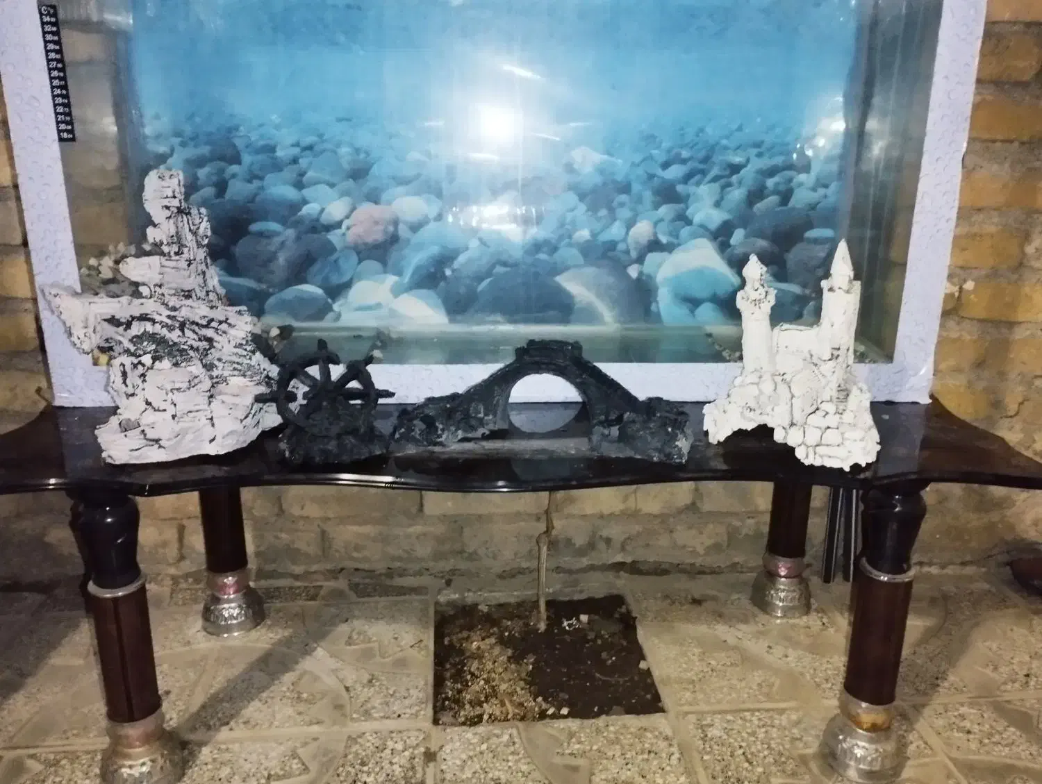 آکواریوم|ماهی|تربتحیدریه, داروپخش|دیوار