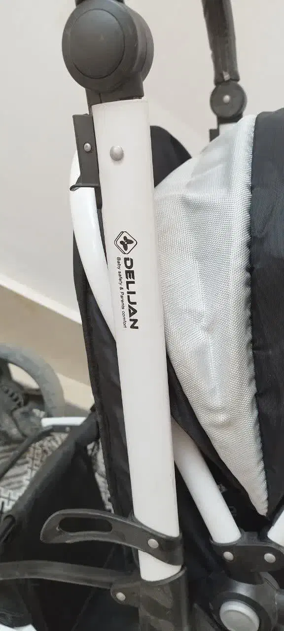 کالسکه دلیجان|کالسکه و لوازم جانبی|شاندیز, |دیوار