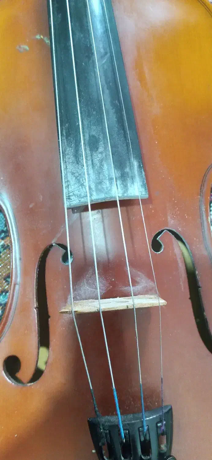 ویالون قدیمی و خش صدا TF|ویولن|چناران, |دیوار