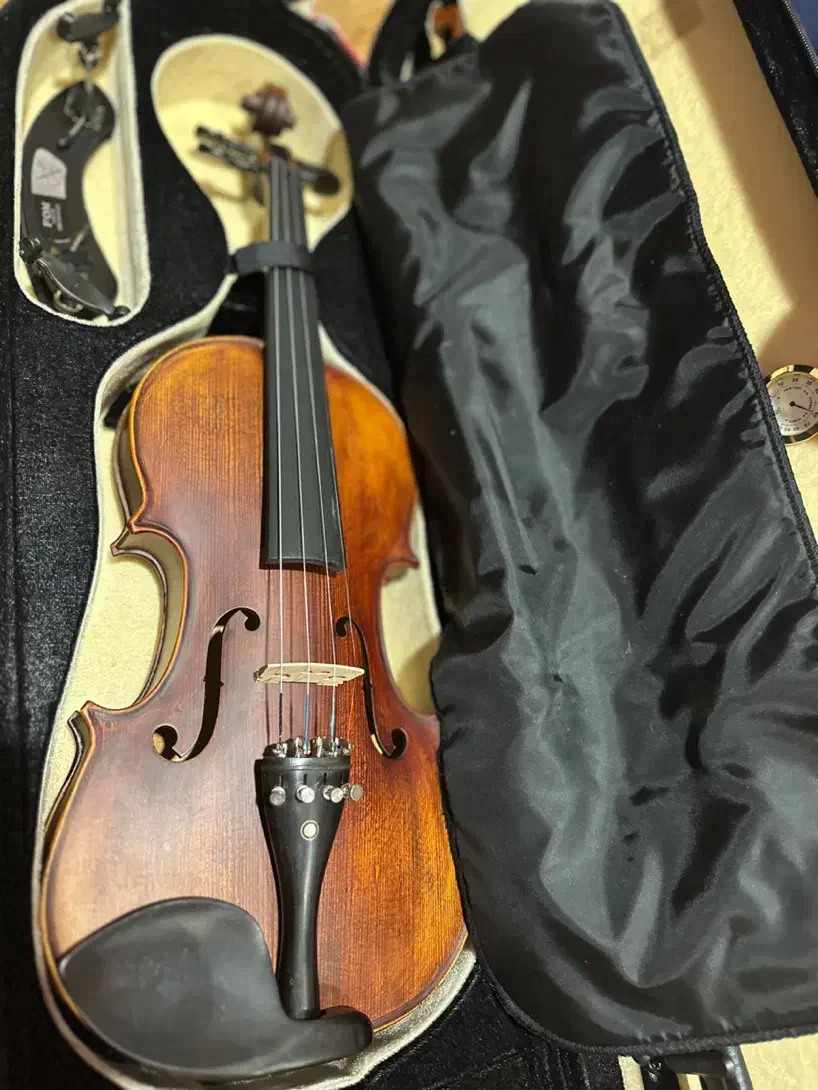 ساز موسیقی ویولن|ویولن|سنندج, |دیوار