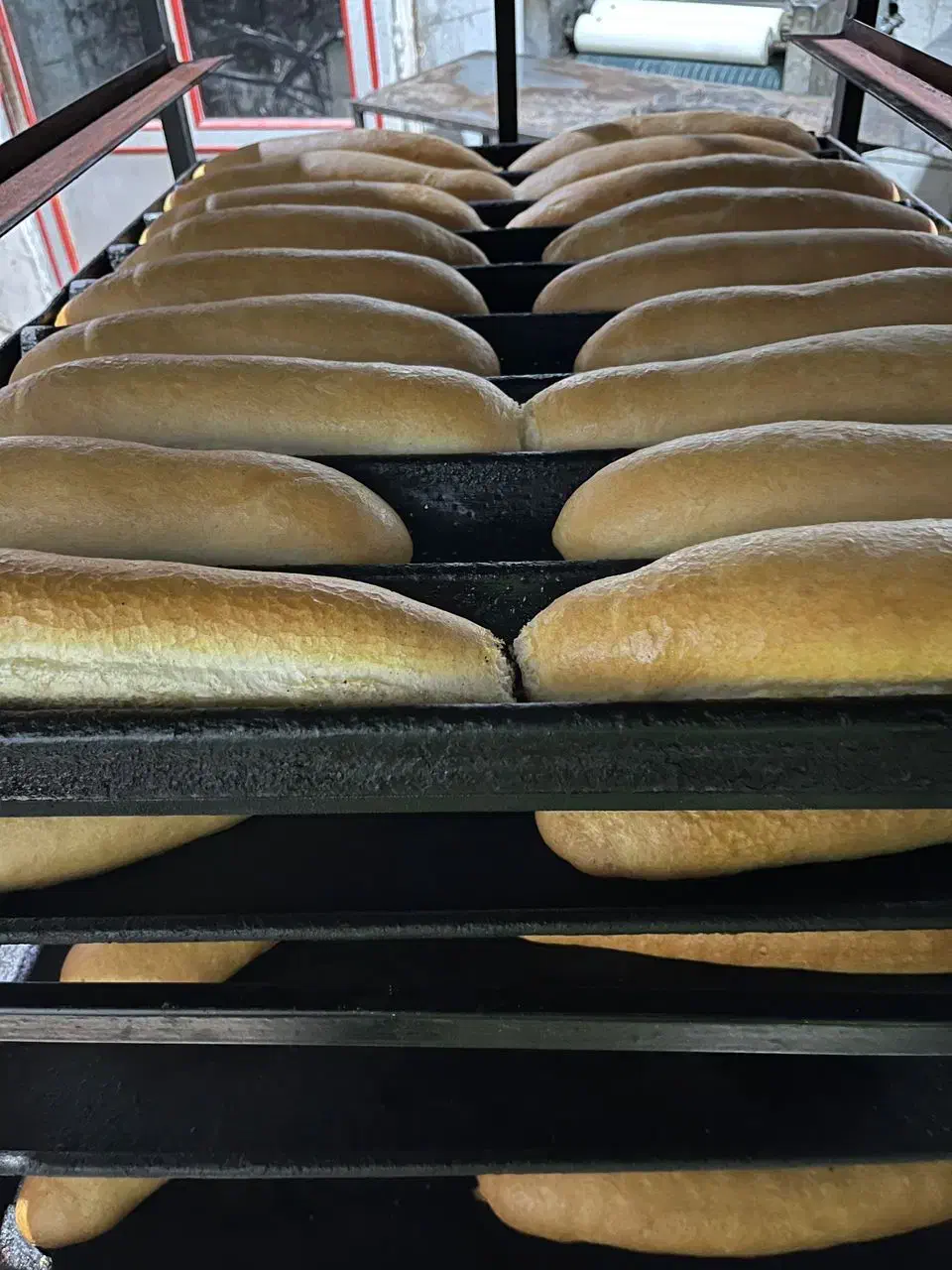 فر دار برا کلوچه|استخدام خدمات فروشگاه و رستوران|زابل, |دیوار