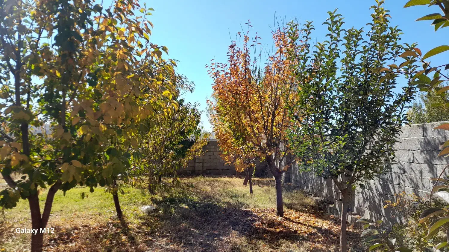 فروش باغ ویلایی|فروش خانه و ویلا|هریس, |دیوار