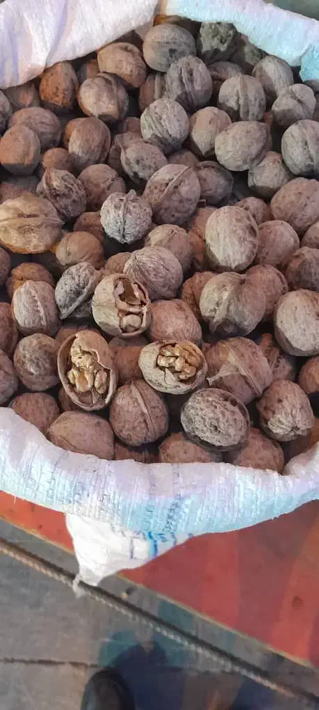 گردو پوست کاغذی،قیمت از ۲۵۰تا ۵۵۰|خوردنی و آشامیدنی|نجف‌آباد, گلدشت|دیوار