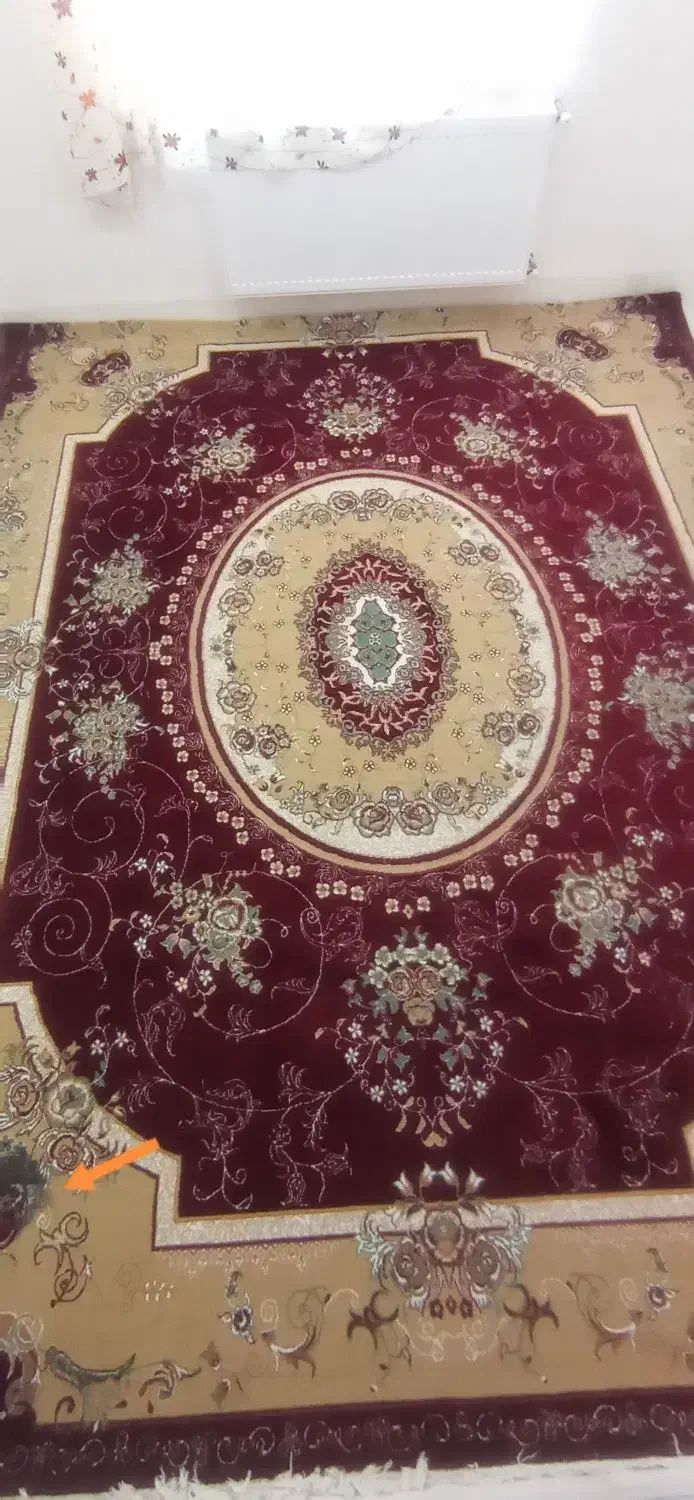 فرش در حدنو|فرش|بانه, |دیوار