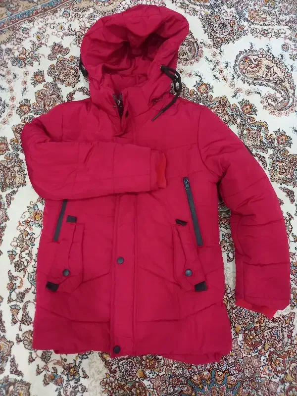 کاپشن|لباس|آزادشهر, |دیوار