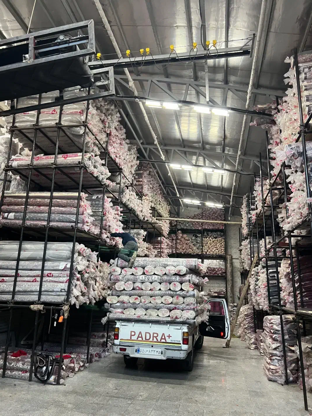 انبار مرکزی پخش فرش ماشینی(خرده فروشی به قیمت عمده|فرش|تبریز, |دیوار