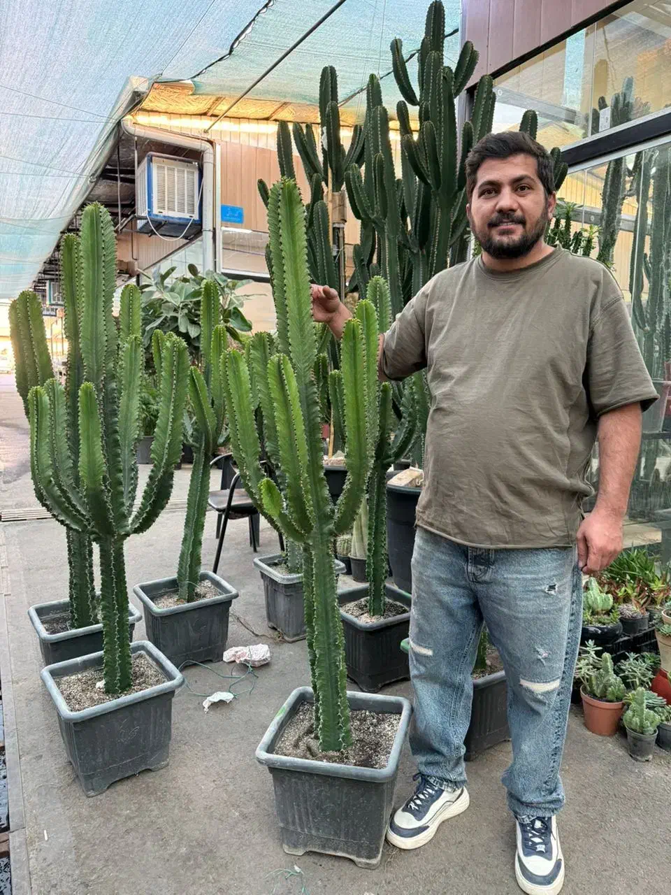 فروش کاکتوس افوربیا،ساکولنت،گلدان،کود|گل و گیاه طبیعی|تهران, شهرک شهید باقری|دیوار